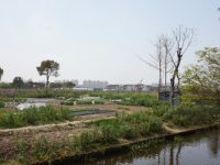 “悶”了這么久，上海這些人少景美能撒歡的景點都開了
