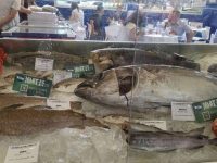2020年全球首場大型水產海鮮展開幕，每批次展品須經核酸檢測