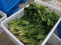 零化肥、零農藥的綠葉菜就該種得貴、賣得貴？上海算了一筆賬，結果發現……