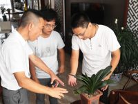 上海首批社區“綠化醫生”上崗，面對千奇百怪的疑難雜癥，都開了些啥方子