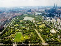 重磅文件出爐，上海明確28項重點改革舉措，到2025年會發生這些變化