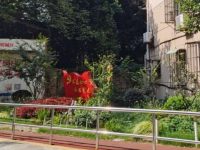 小區太小沒人管、物業不給力怎么辦？上海這個街道探索“小小區”合并升級版
