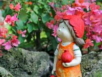 元旦假期這些公園游客量超過2萬，冬天并非無花可賞