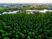 軌交崇明線進展如何？北沿江高鐵今年動工嗎？崇明區發改委主任詳細解答