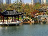上海世博文化公園北區年底即將開放，這些打卡點或成“網紅”，記者帶你先睹