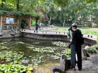 楊浦兩座大型綜合公園重開！市民來賞蓮要注意這些事項
