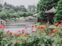 上海八成城市公園已恢復開放，端午假期被擠爆？現實有點意外