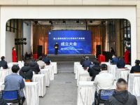 一件政協提案牽起一個產業聯盟！金山區推動汽車全產業鏈協同發展