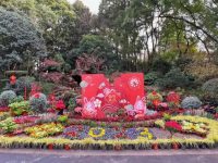 花卉、燈籠、中國節……來看楊浦各大公園濃濃年味