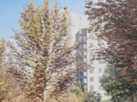 超6000平方米口袋公園+道路拓寬工程進行時！漕溪片區正在大變身