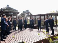 金山這個鎮探索“宅基共富計劃”，一批“田園總部”在鄉村揭開面紗