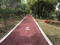 建設人與自然和諧共生的美麗家園！“十四五”末浦東公園數量將超200座