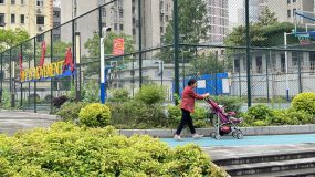 陸家嘴新開放8萬平米綠地，原來得益于這項工作推進