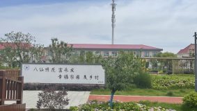 養蟾蜍，種繡球……上海這座原生態小島上，鄉村“新經濟”如火如荼