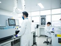 閔行開發區盤活老舊廠房，引入創新藥研發中心可容千人開展科研活動