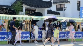 ?“海漁尋跡”、“金味品鑒”、“研學潮玩”…金山發布5條非遺特色主題游線