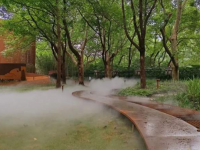 老靈額！中山公園這三處景點宛若仙境……