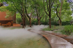 老靈額！中山公園這三處景點宛若仙境……