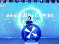 浦東去年形成一批數字化轉型解決方案，未來如何產生更多轉型成果？