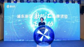 浦東去年形成一批數字化轉型解決方案，未來如何產生更多轉型成果？