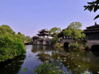 黃浦江畔，這個有“上海之本”之稱的鎮，有底蘊、更“好白相”！