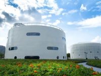 “一江一河”公園綠地也精彩，收下這份城市漫步攻略
