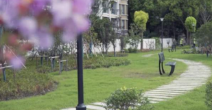 建設口袋公園，更新城市面貌迎進博