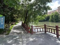 閔行這條河沿線基本貫通！居民提了什么金點子，最終變成了沿岸風景線？