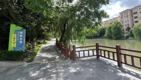 閔行這條河沿線基本貫通！居民提了什么金點子，最終變成了沿岸風景線？