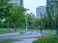 森蘭北塊綠地建成開放啦！你去打過卡嗎？