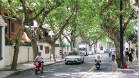 網紅店多流量大、老舊房屋不成套、歷史建筑多，市中心風貌區遇治理煩惱…