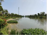 住民宿，逛森林！上海將建成50座開放休閑林地公園，走不進的密林變身可穿行的綠洲