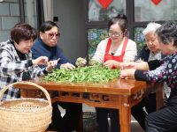 市區老人到鄉村“做客”式養老？滬郊這個地方出現一種新社區模式