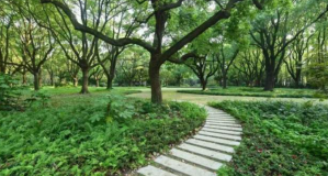 來楊浦這個“秘境花園”，在綠意中感受靜謐