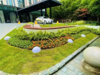 居民家門口要建個口袋公園，本該是好事，他們卻吵翻了