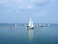 滬蘇湖高鐵練塘站明年通車，示范區城際線開工，青浦“樞紐門戶”作用愈發凸顯