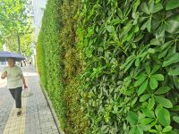 到閘北公園的200多米不再單調，上海圍墻轉型不只是添綠