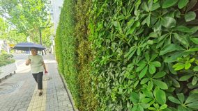 到閘北公園的200多米不再單調，上海圍墻轉型不只是添綠