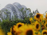 20多萬平方米！中心城區新添一座“上海大花園”，9月28日試開放