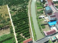 水系“毛細血管”連線成網，崇明長興鎮通過小流域治水提升蓄水排澇能力